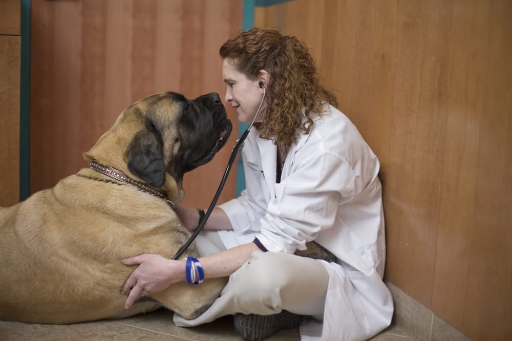 Red Bank Veterinary Hospital 27 Photos & 115 Reviews Veterinarians