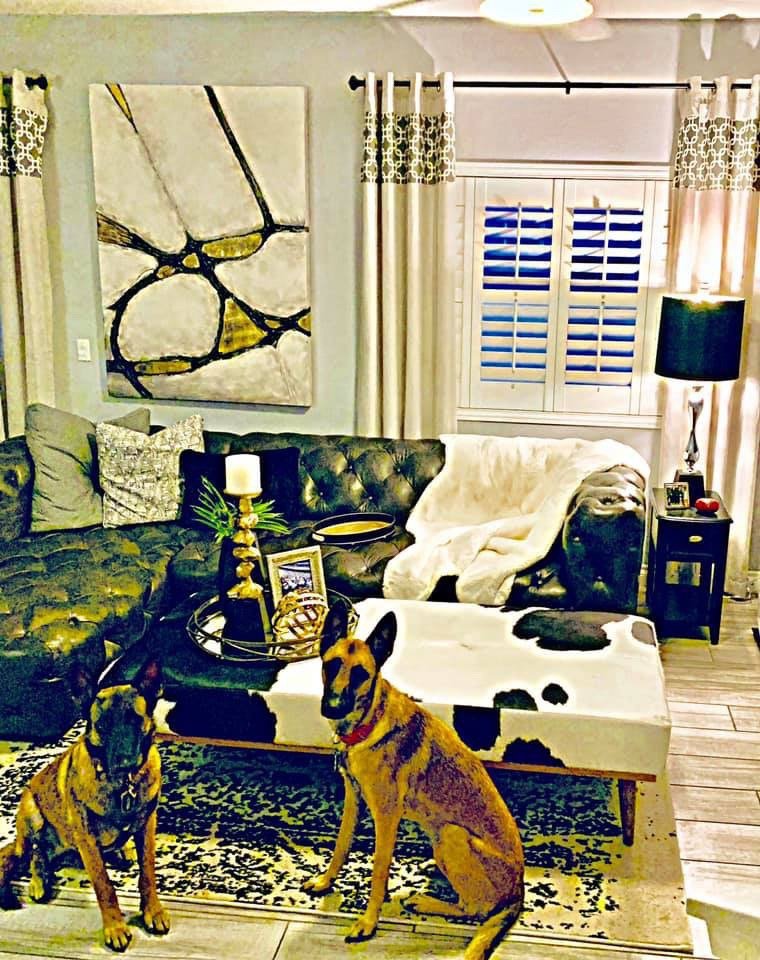 Furniture Palace