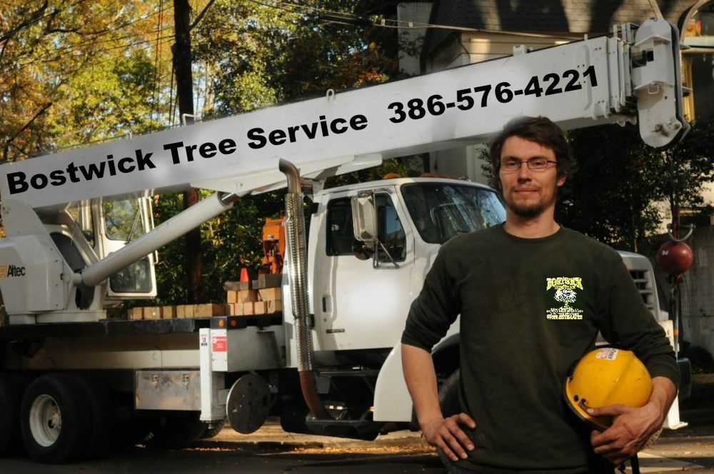 Above And Beyond Tree Care