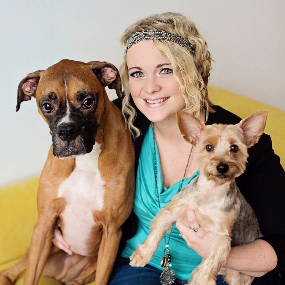 The Dog Spot Pet Grooming Pet Groomers 1501 Foxglove Rd, Farmington