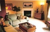 Organization Unlimited