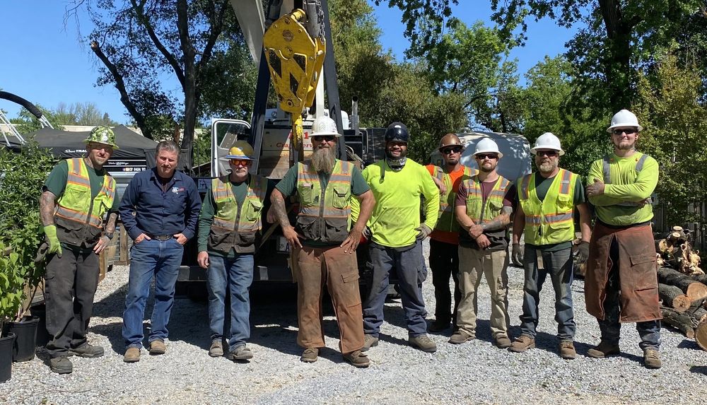 A-1 Tree Service & Stump Removal