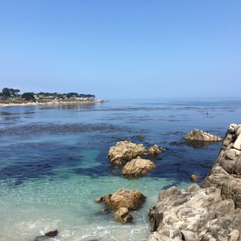 Point Park 827 Photos 194 Reviews Parks 17th St Point Park 827 Photos 194 Reviews Parks 17th St Ocean View Blvd Pacific Grove Ca Yelp