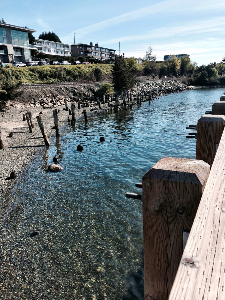 Boulevard Park 95 Photos & 30 Reviews Parks Bellingham, WA