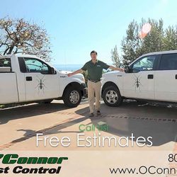 Pest Control In Santa Barbara Yelp O Connor Pest Control