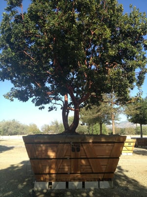 Brightview Tree Company 3200 W Telegraph Rd Fillmore Ca Landscape Brightview Tree Company 3200 W Telegraph Rd Fillmore Ca Landscape Designers Mapquest