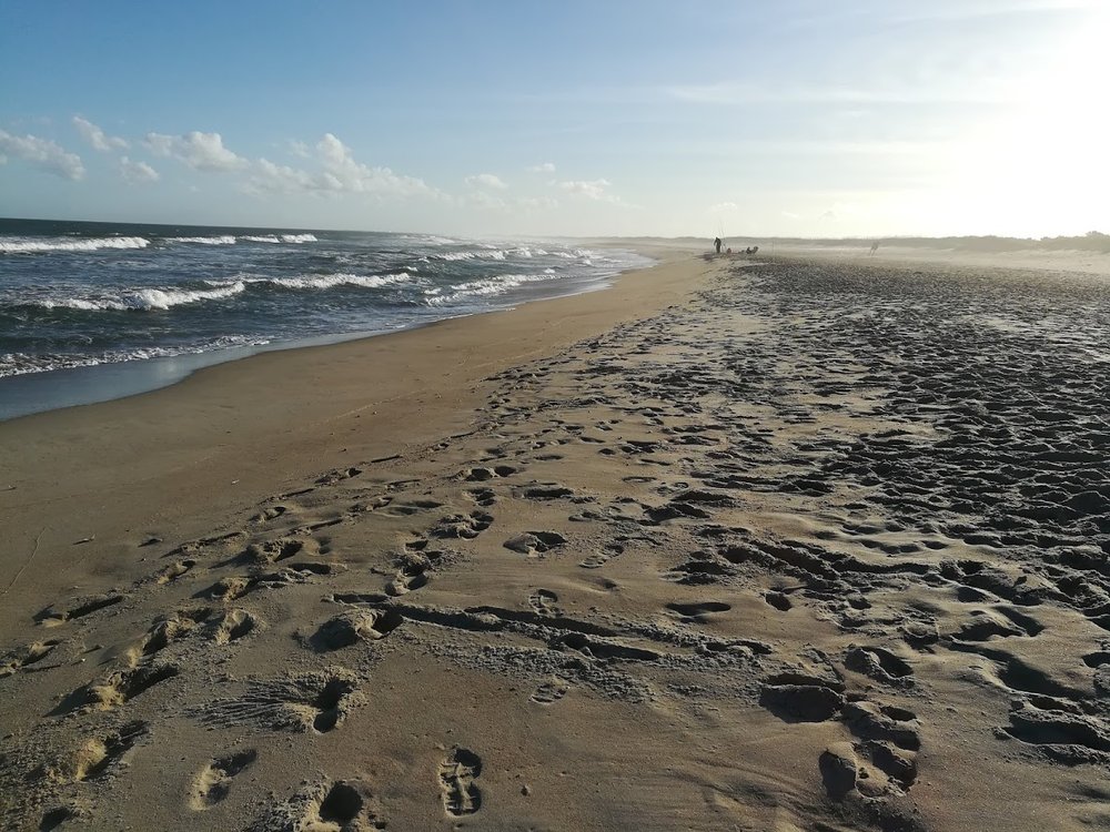 Stephen Smith - Outer Banks Realtor