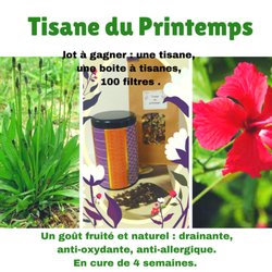Scandic naturals elite green coffee image 4