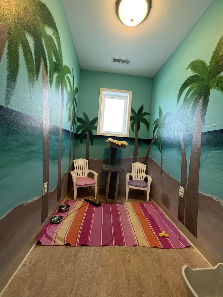 Purr-Sonal Care Cat Clinic Image