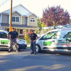 Pest Control In Wayne Yelp Bugging Out Termite Pest Control