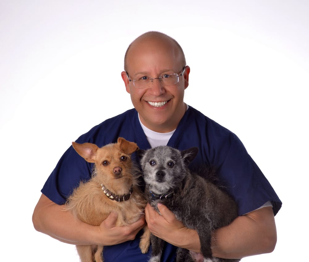 Fox Companion Care