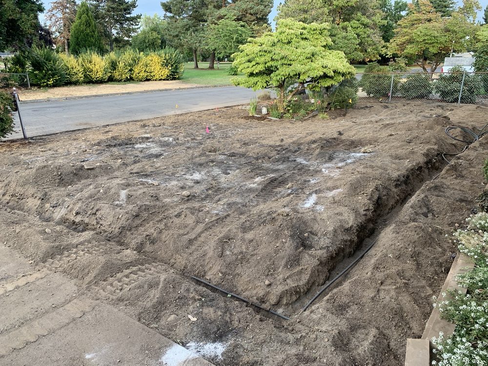 Blue Skies Lawn Care