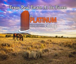 The Platinum Group Real Estate