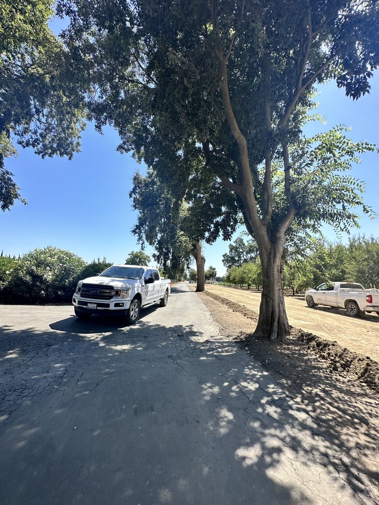 Valley Falls Tree Care