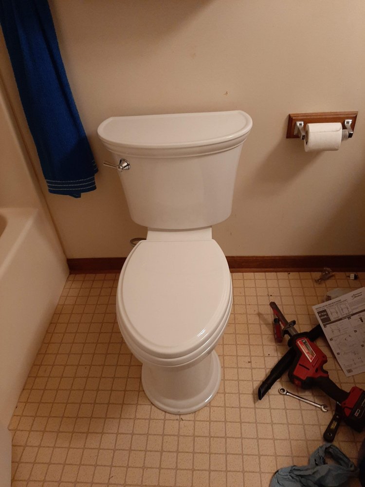 Lizard with a Ladder