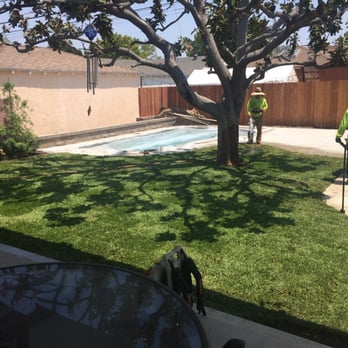 Green Touch Tree And Landscaping Services 59 Photos 46 Reviews Photo Of Green Touch Tree And Landscaping Services Bellflower Ca United States