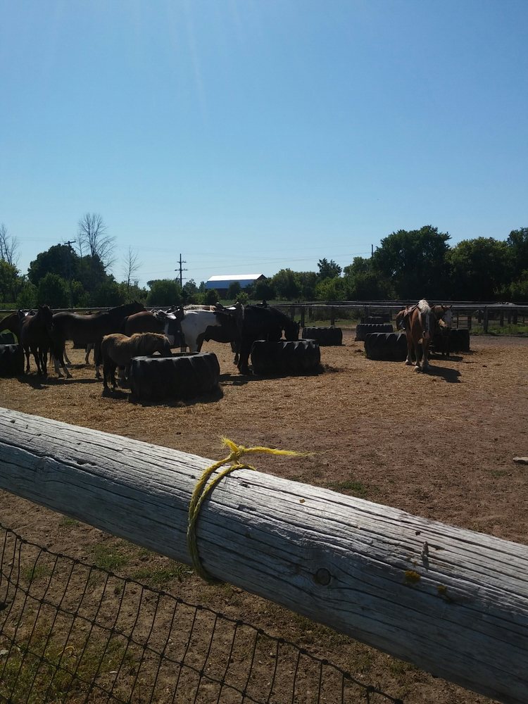 Knoblock Riding Stable 10 Photos Horseback Riding 1075 Hunter Rd
