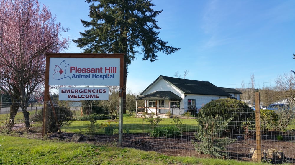 pleasant hill animal hospital veterinarians 84920 pleasant hill animal hospital veterinarians 84920