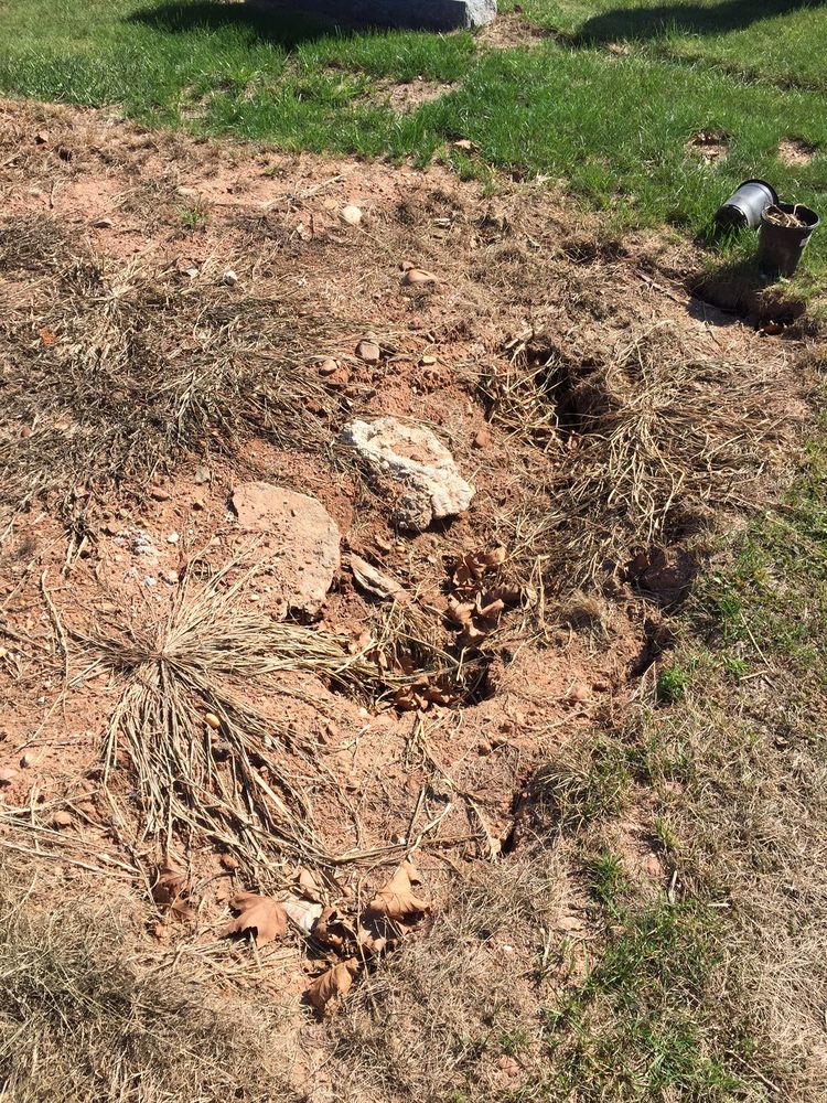 Beth Israel Cemetery/ Woodbridge Memorial Park 10 Photos Funeral