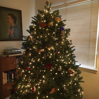 mr jingle s christmas trees 10 photos 17 reviews mr jingle s christmas trees 10 photos 17 reviews