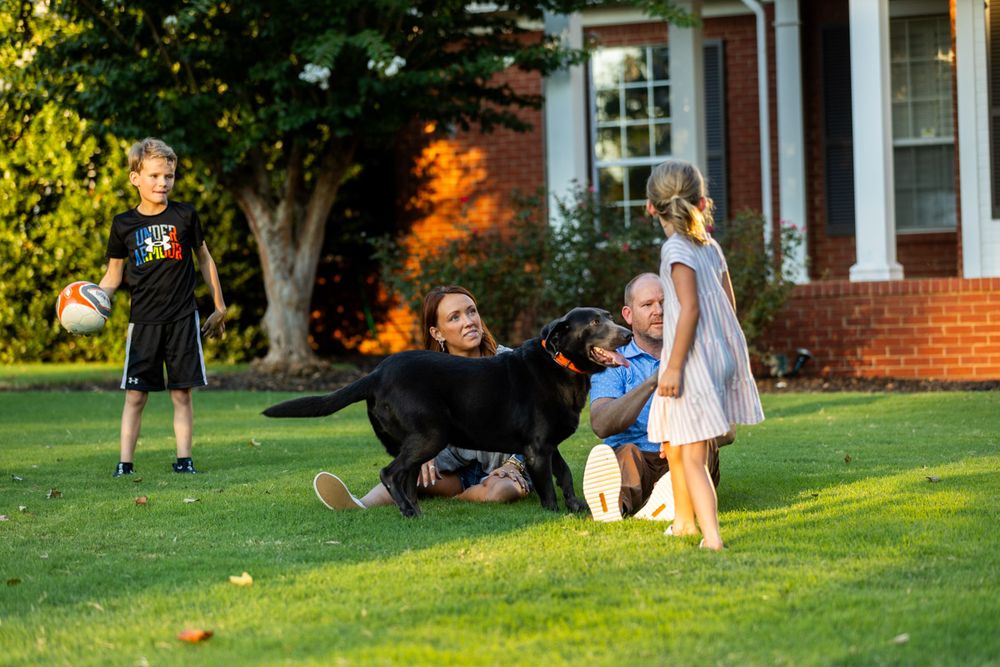 Lawn & Pest Solutions