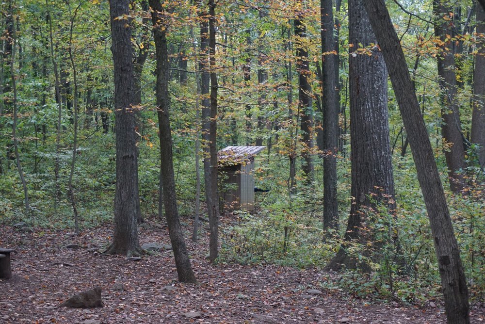 Bears Den