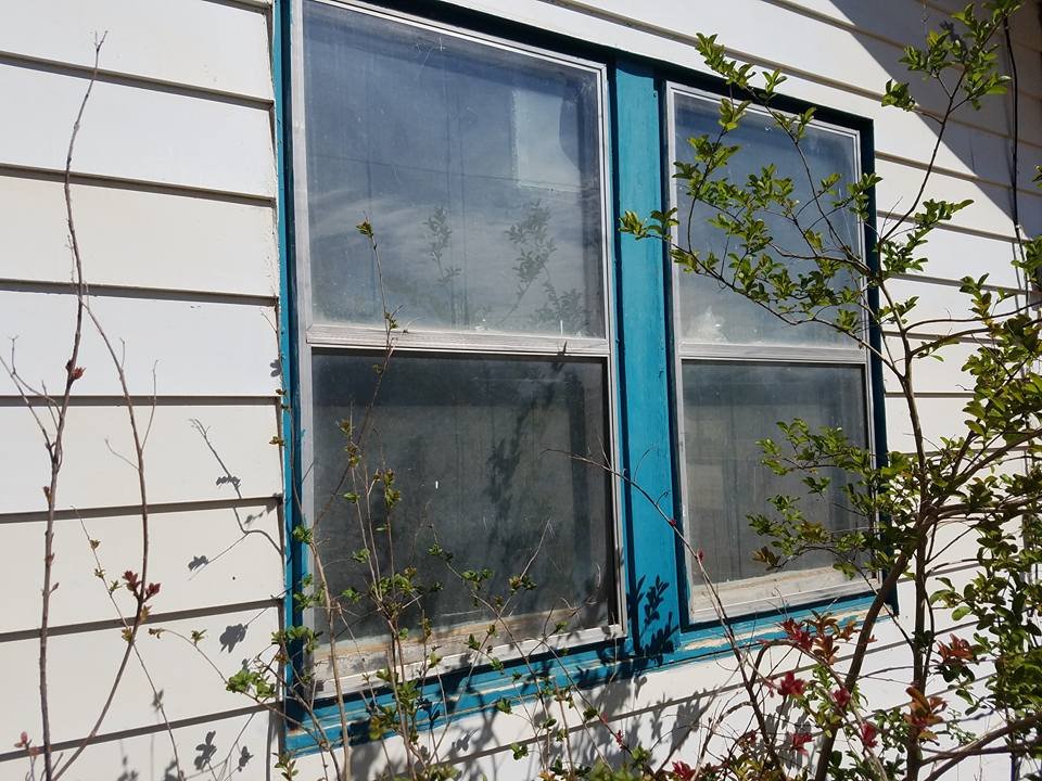 image of business Aldous Handyman Services