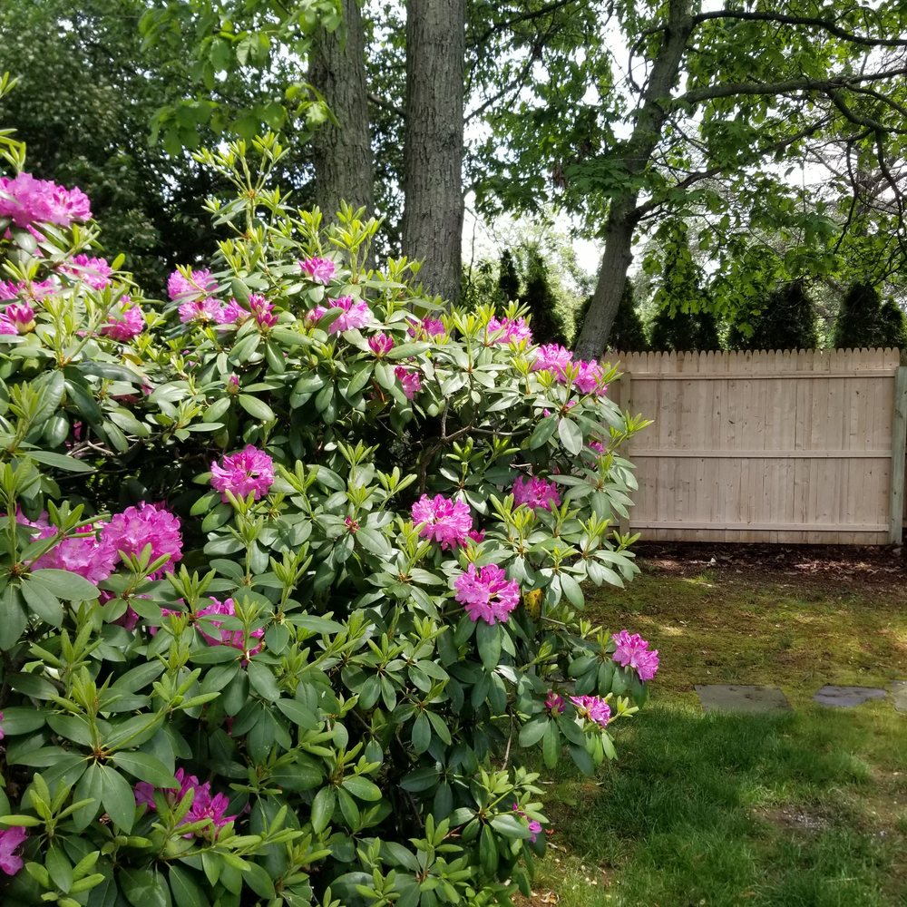Walt Whitman Fence