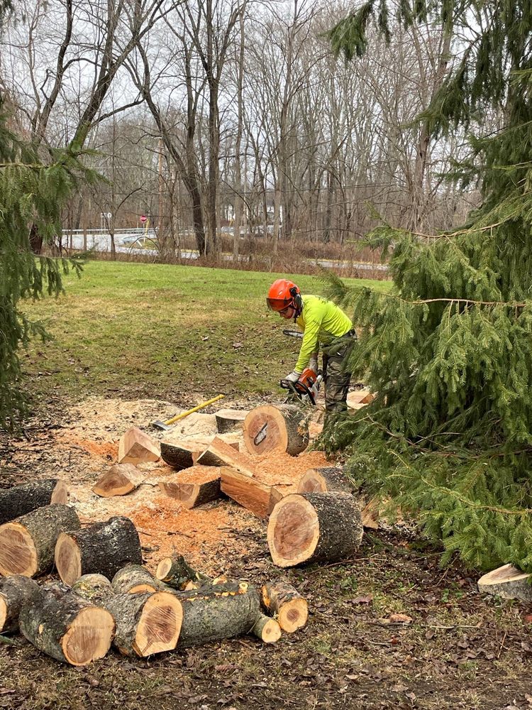 R & D Tree Service
