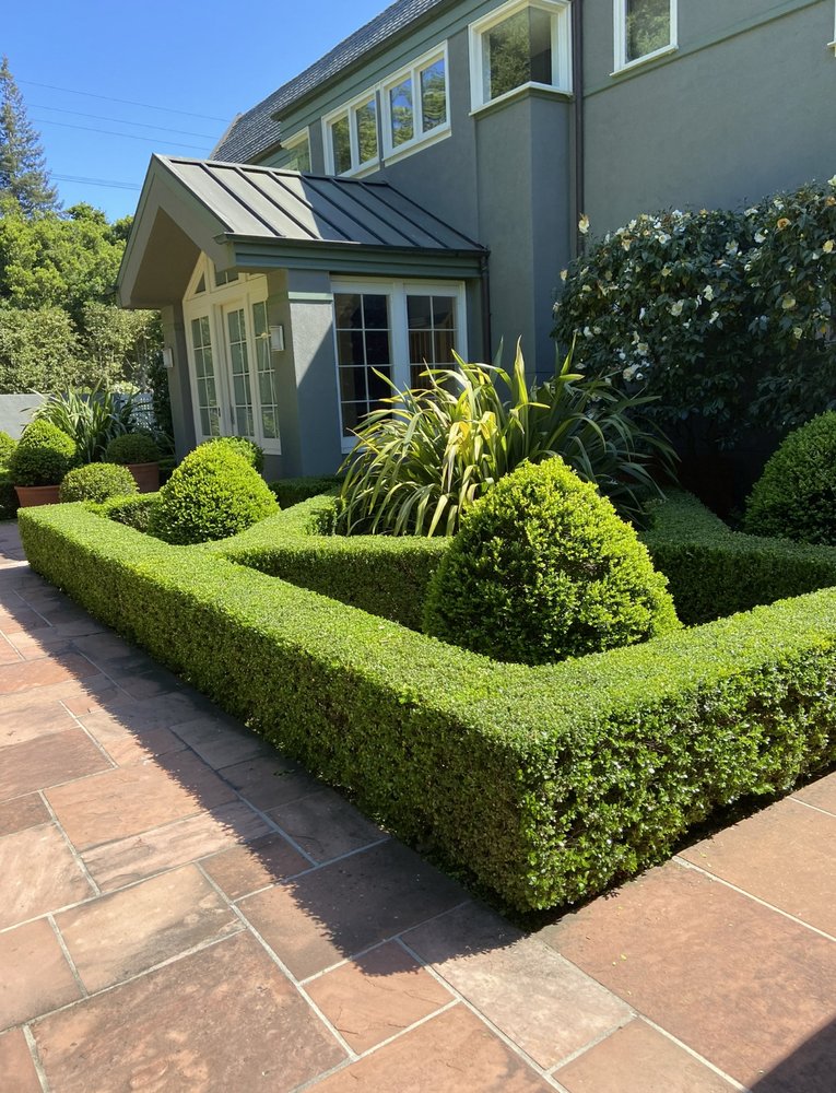 Jose Gonzalez Landscaping Services