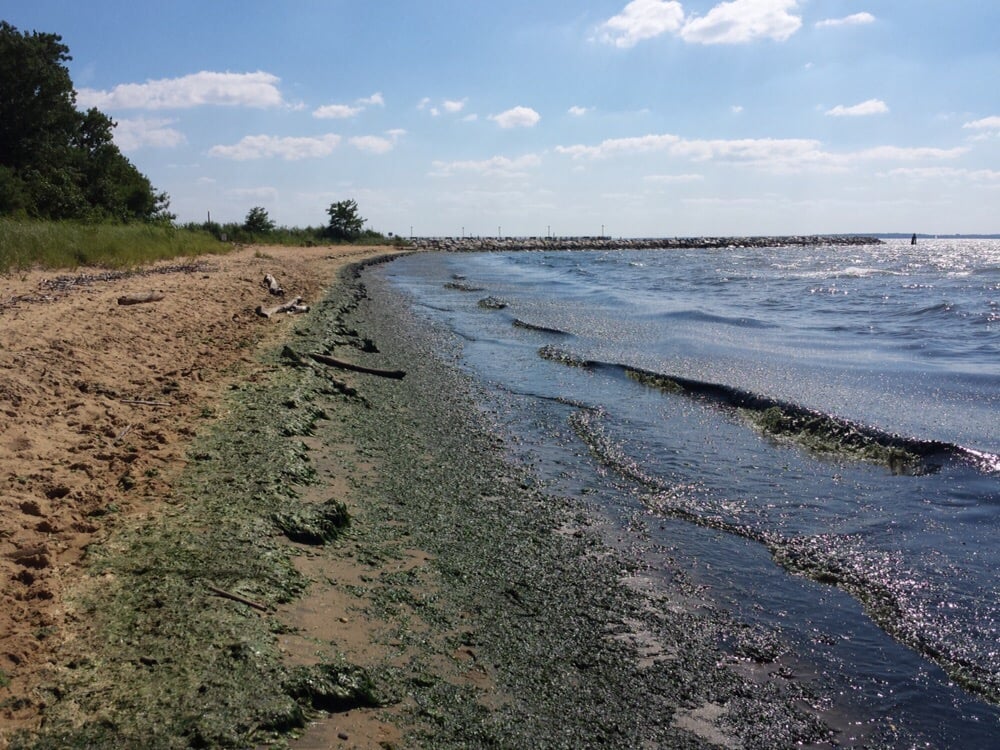 Matapeake State Park 37 Photos & 16 Reviews Parks 1112 Romancoke