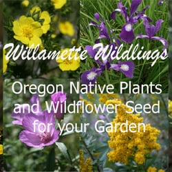 Willamette Wildlings Native Plant Nursery Nurseries Gardening Photo Of Willamette Wildlings Native Plant Nursery Creswell Or United States