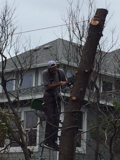 Four Seasons Landscaping