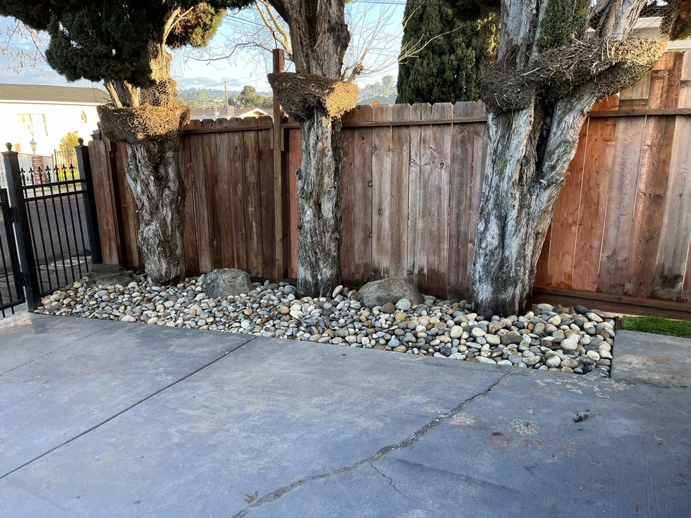 Tukia Landscaping