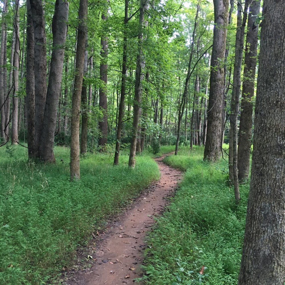Carolina North Forest 82 Photos Hiking 1089 Municipal Dr, Chapel