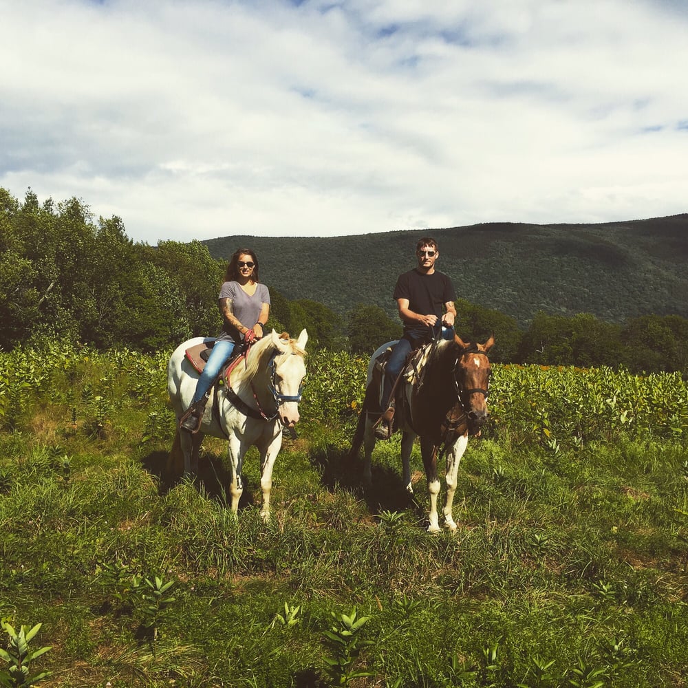 Mountain View Ranch Horseback Riding 502 Easy St, Danby, VT Phone