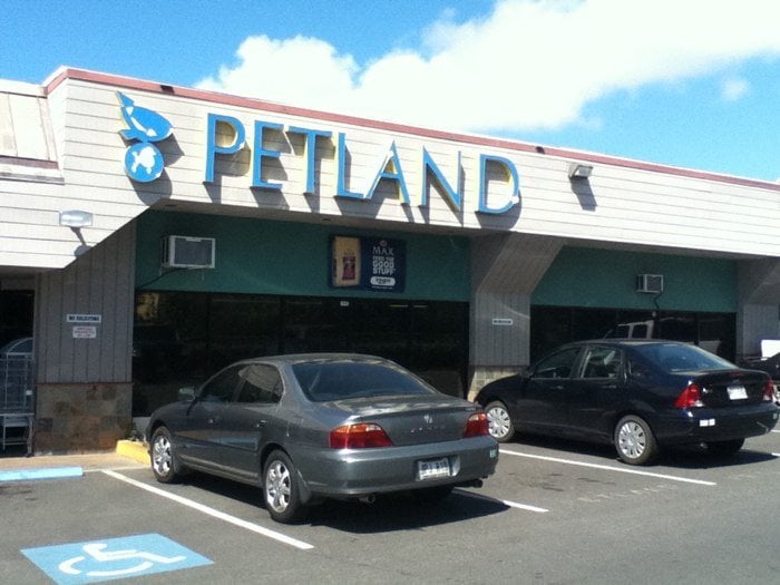 Photos for Petland - Yelp