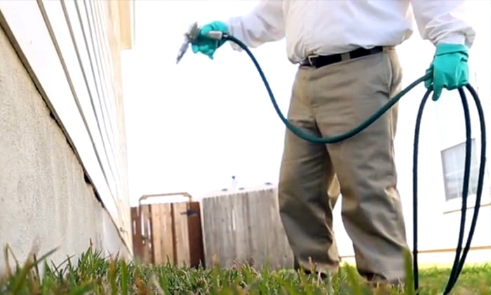 Bulwark Exterminating