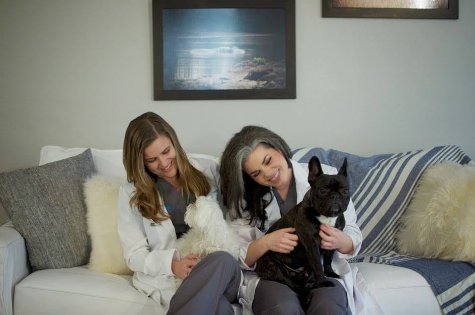 City Pet Home Vets