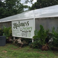 Malone S Nursery 12 Photos Nurseries Gardening 100 Radio Photo Of Malone S Nursery Charlotte Nc United States This Is The Sign
