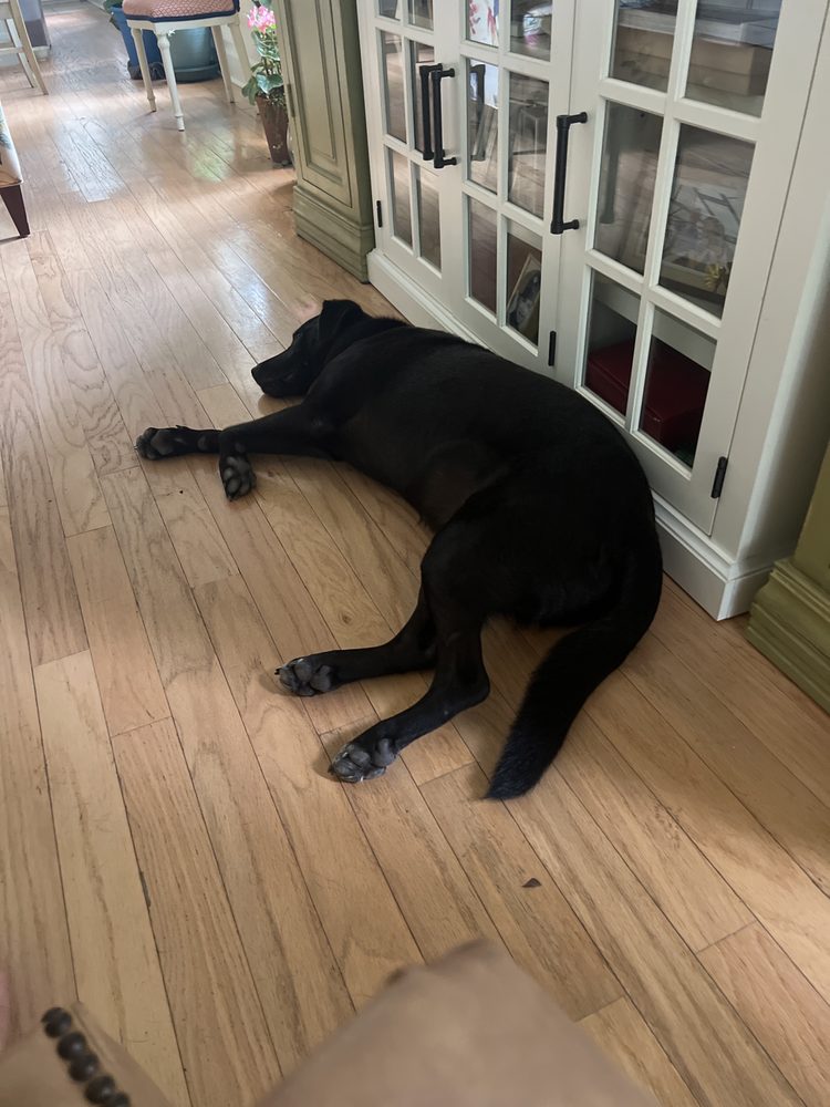 image of business Heritage Air Heating & Cooling