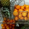 Yelp Gets Juicy gift card