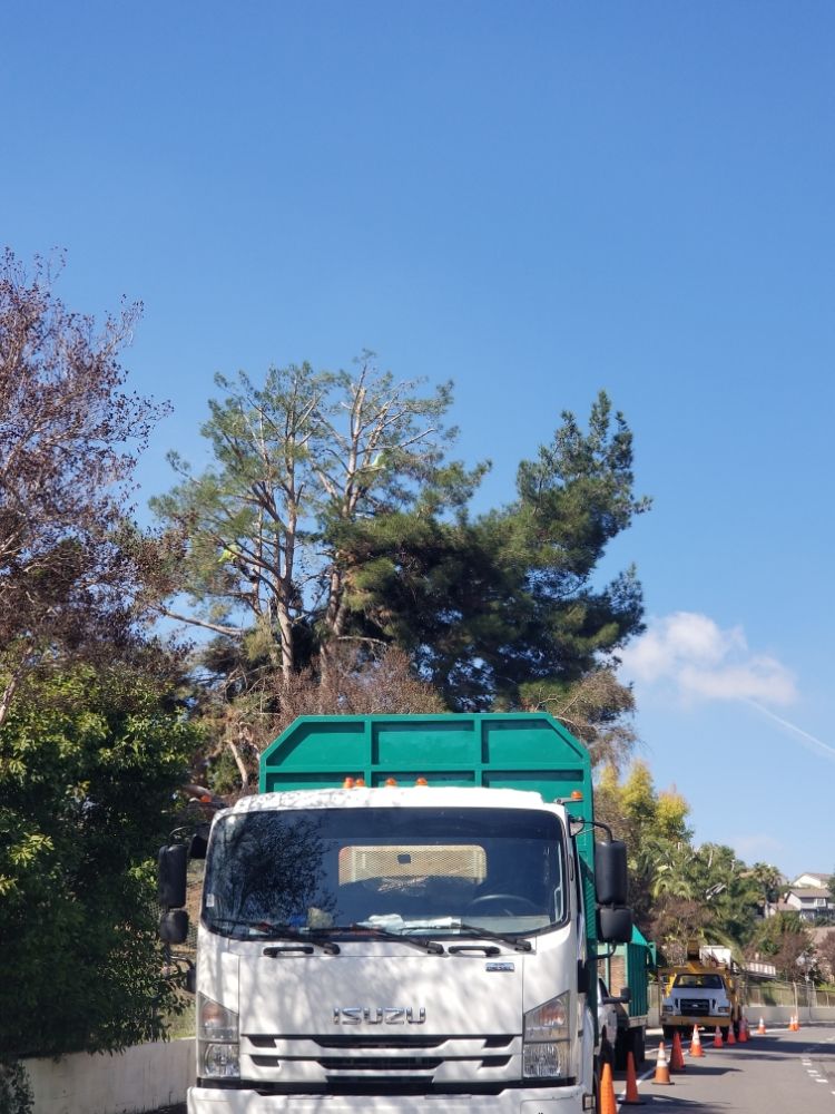 Gabriel Lopez Tree Service