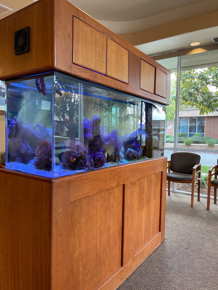 image of business Blue Oak Dental Rocklin