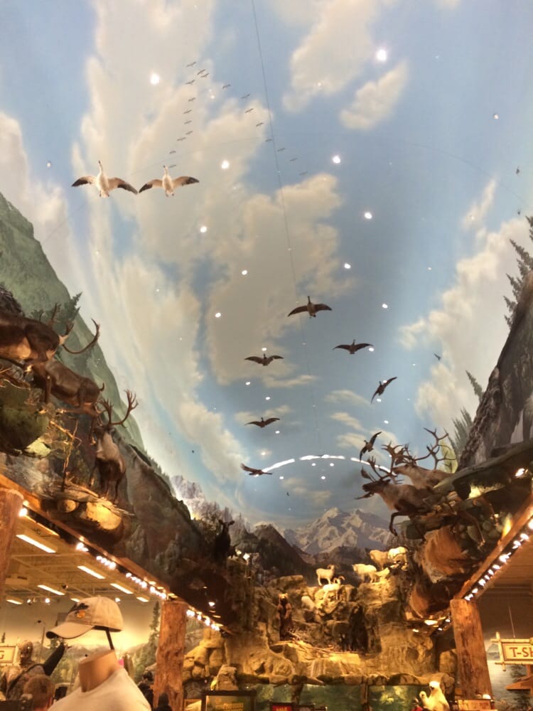 Bass Pro Shop 26 Photos & 10 Reviews Outdoor Gear 3046 Mountain