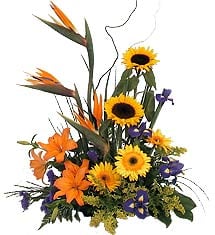 Avio Flowers