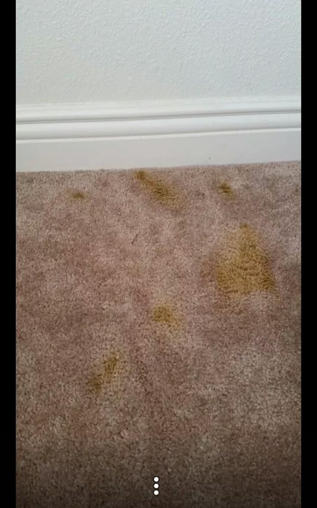 2Sisters Professional Cleaning