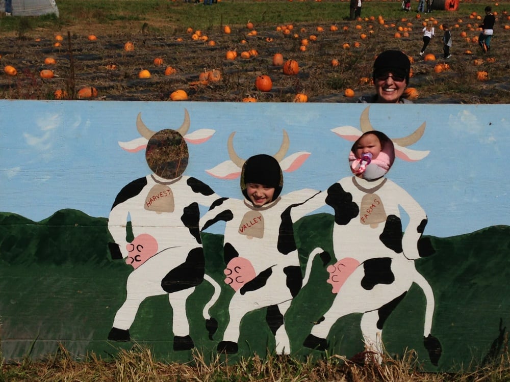 Harvest Valley Farms