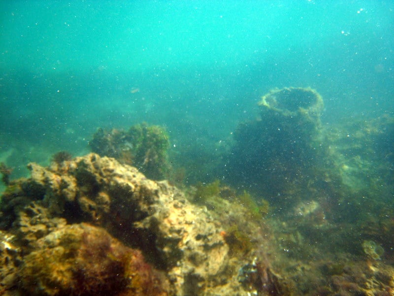 Snorkeling Tour Off Of Vero Beach On The Breconshire Shipwreck Yelp Photo Of Shark Bait Beach Gear Als Vero Fl United States