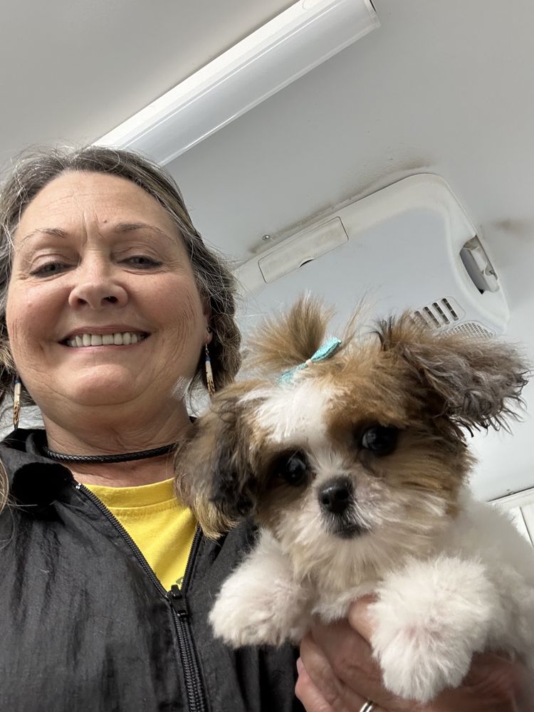 Elite Mobile Pet Grooming